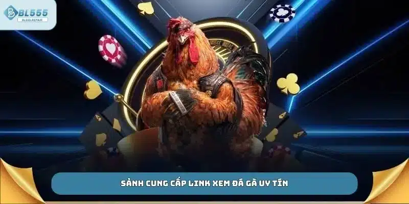Sảnh cung cấp link xem đá gà uy tín
