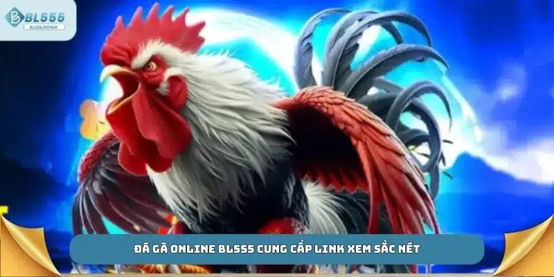 Đá gà online BL555 cung cấp link xem sắc nét