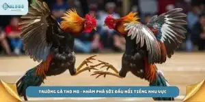 Trường gà tho mo