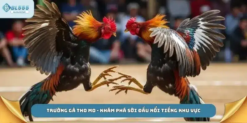 Trường gà tho mo